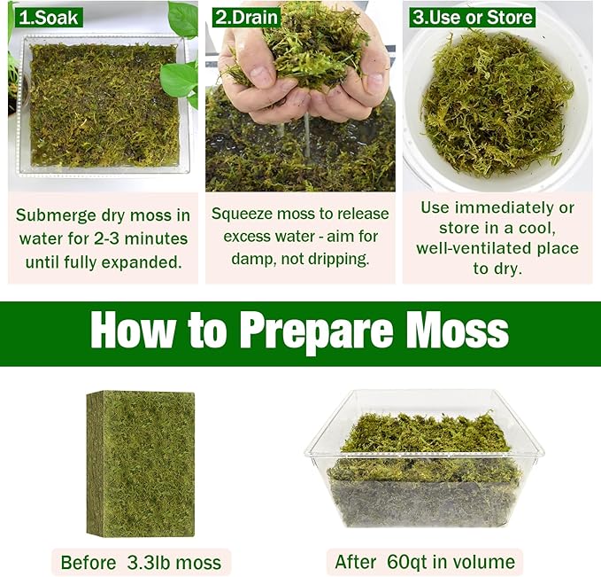 ZeeDix 3.3 lbs Forest Moss for Plants Indoor - Dried Orchid Moss for Repotting, Natural Green Sphagnum for Potted Plants Carnivorous Monstera Succulents Crafts Reptile Habitat (Expands to 60 qt)