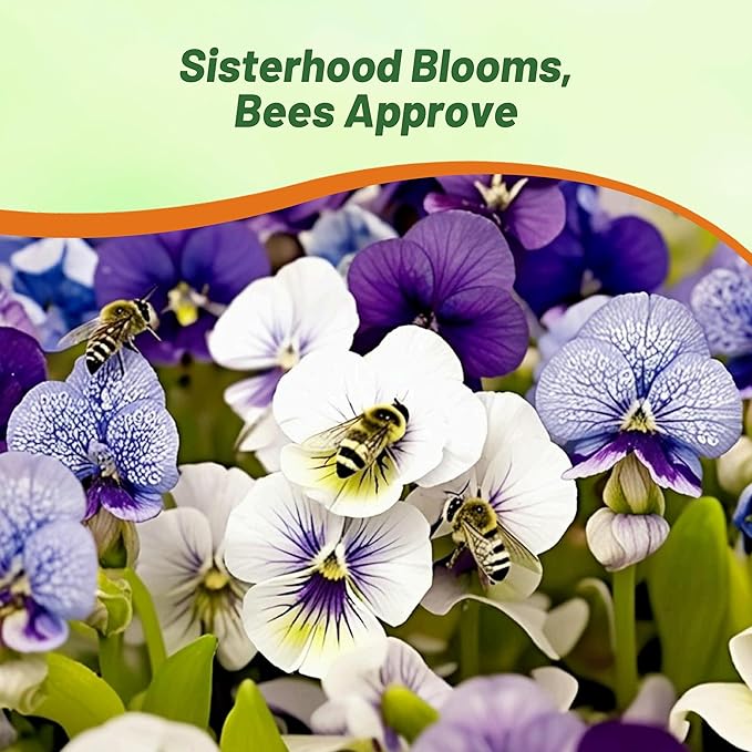 Outsidepride Sorority Sisters Viola Pansy Seeds for Planting - 100 Pcs. Perennial, Spreading, Cold-Hardy & Pollinator Friendly Flowers with Fragrant Blooms for Garden Beds & Container Displays