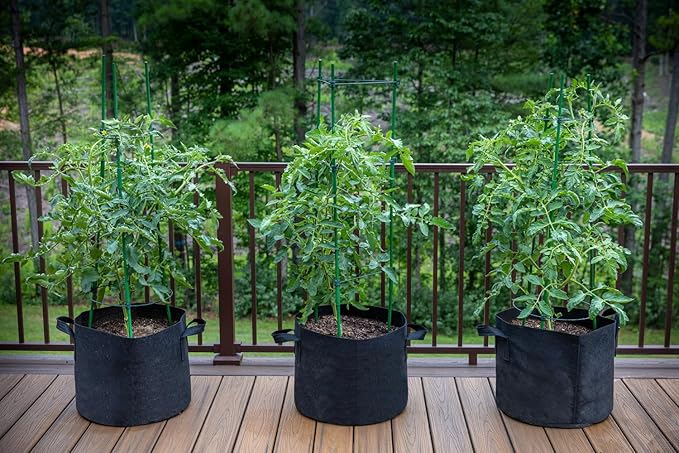 Gardzen 20-Pack 2 Gallon Grow Bags, Aeration Fabric Pots with Handles, Heavy Duty Plant Bags for Plants
