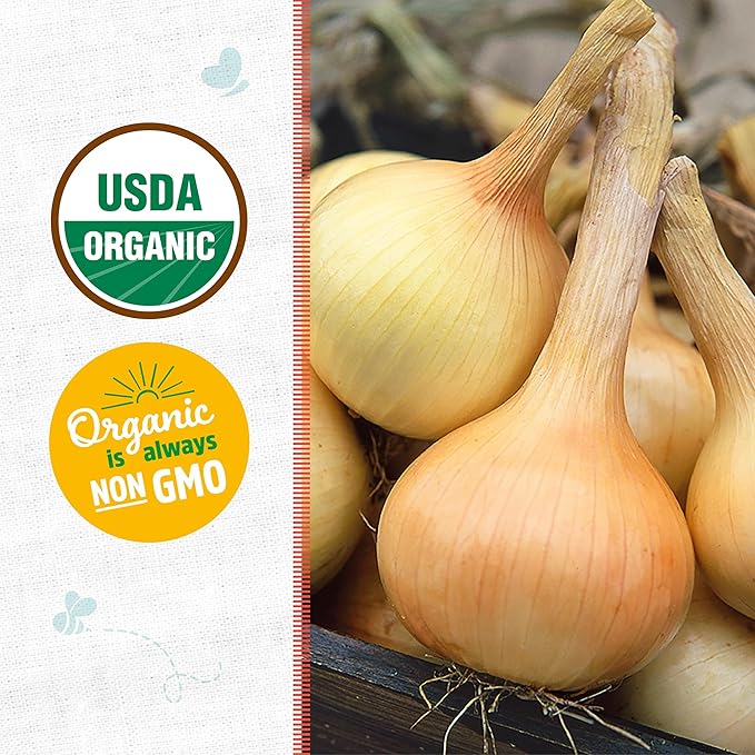 Back to The Roots 100% Organic Heirloom Seeds - Sweet Onion Seeds for Planting Value Pack (280mg Total)