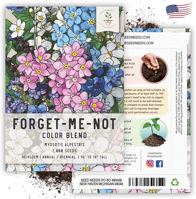 Seed Needs Forget Me Not Seeds for Planting Mixed Flowers - Heirloom & Open Pollinated Wild Flower Seed to Plant an Outdoor Butterfly Garden to Attract Pollinators (5 Packs)