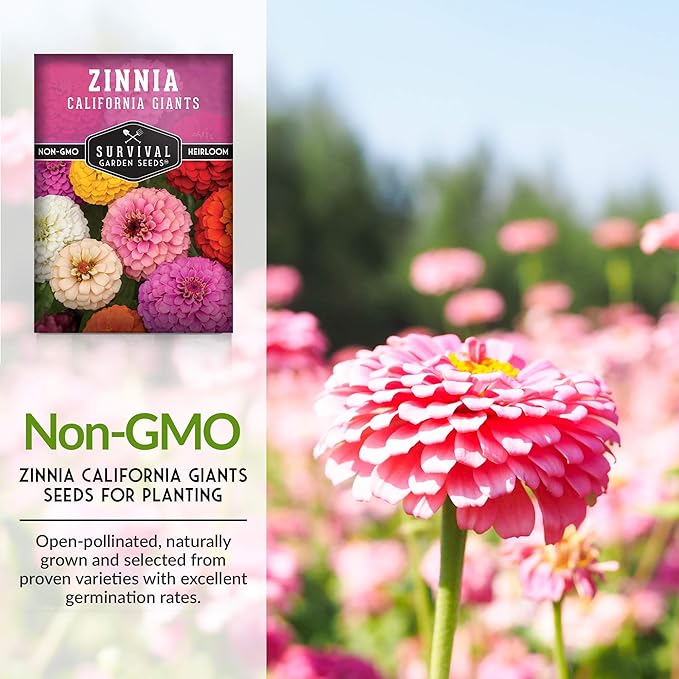 California Giants Zinnia Seeds – Large 4–6″ Cut & Come Again Blooms, Pollinator Favorite, Easy Annual Garden Flower Mix – Survival Garden Seeds (2 Packs)