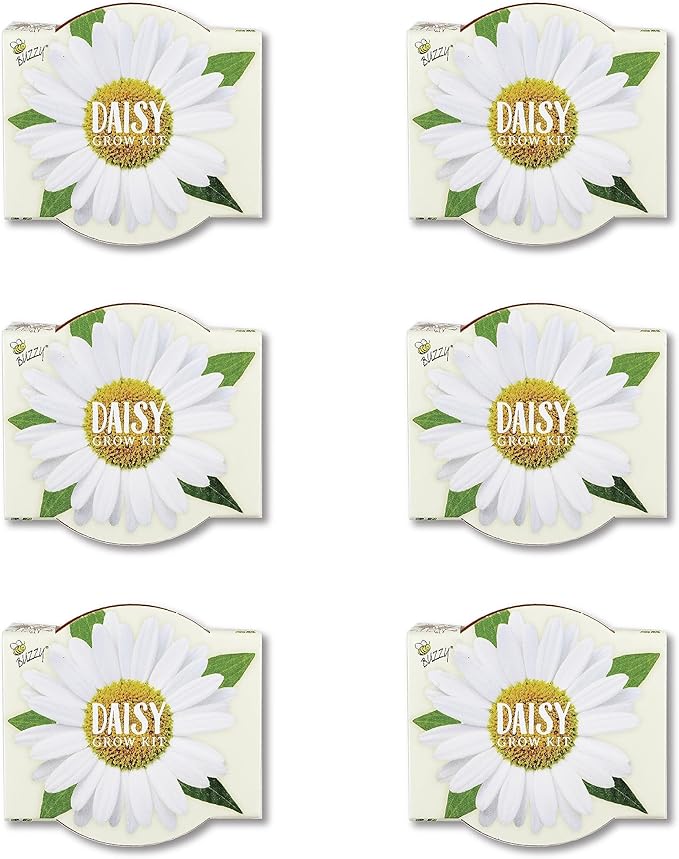 BUZZY Seeds Daisy Daydream Collection Mini Terracotta Grow Pots 6-Pack, All-in-One Starter Kit with Seed Packs and Growing Medium, Wedding Favors, Gardening Gifts, Garden Parties