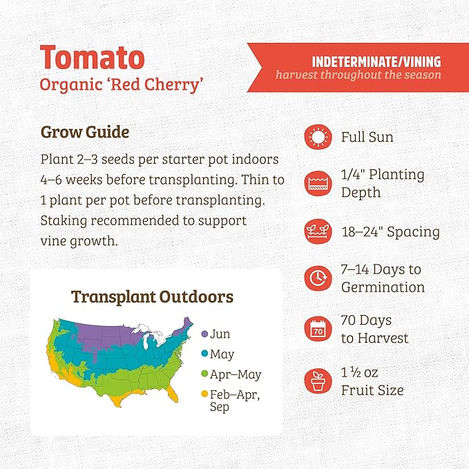 Back to The Roots 100% Organic Seed Packet - Tomato Red Cherry