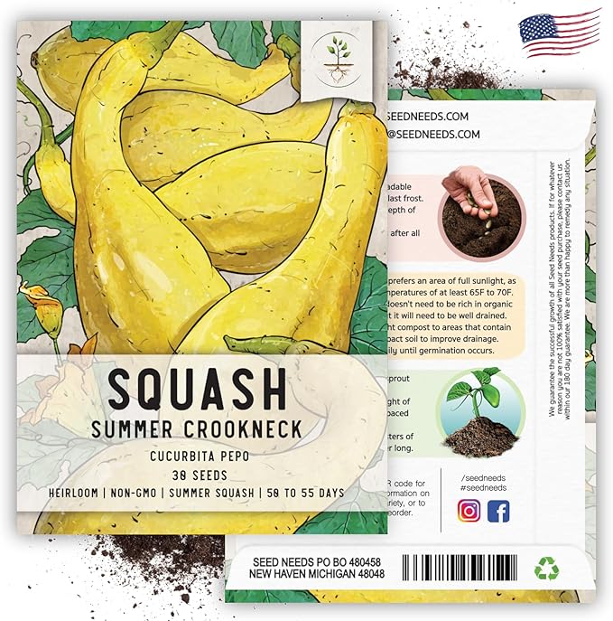 Seed Needs Crookneck Squash Seeds for Planting Summer Squashes - Non-GMO Heirloom & Untreated Cucurbita Seed to Plant an Outdoor Home Grown Vegetable Garden (1 Pack)