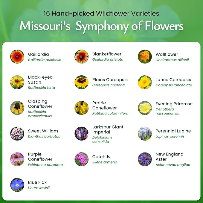Created By Nature Missouri Wildflower Seed Mix, 16 Flower Varieties, 40,000 Seeds