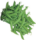 Burpee Super Sugar Snap Pea Seeds 300 seeds
