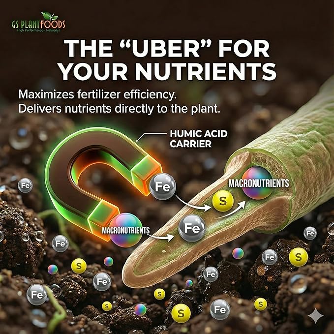 GS Plant Foods Humic Acid Soil Amendment – Leonardite-Derived Liquid Concentrate for Improved Soil Structure & Nutrient Availability – OMRI Listed for Organic Use – 32 Oz