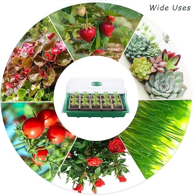 Hahood 4 Pack Seed Starter Tray Kit, 120 Square Seed Peat Pots for Seedlings with Plants Labels, Planting Tools, Plastic Growing Germination Trays with Lids for Indoor Outdoor Gardening, Green