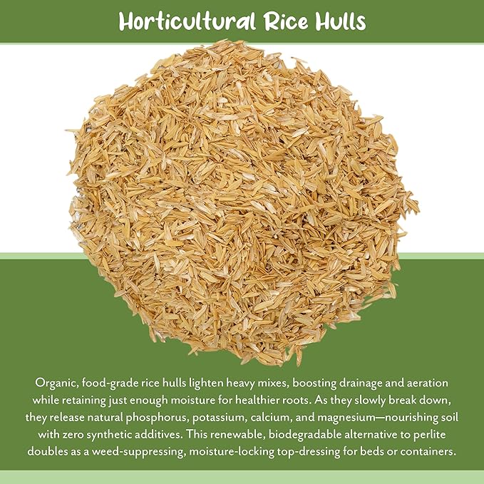 Soil Sunrise Horticultural Grade Rice Hulls (4 Quarts) All Natural Organic for House Plants and Chicken Bedding