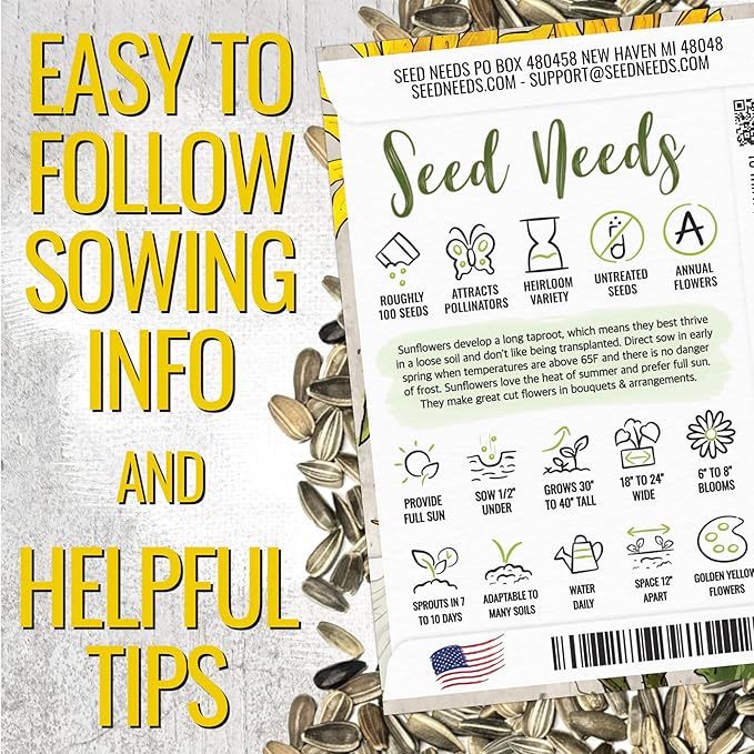 Seed Needs Dwarf Sunflower Seeds for Planting Incredible Sunflowers - Heirloom & Open Pollinated Flowers to Plant an Outdoor Wildflower Garden to Attract Beneficial Pollinators (5 Packs)
