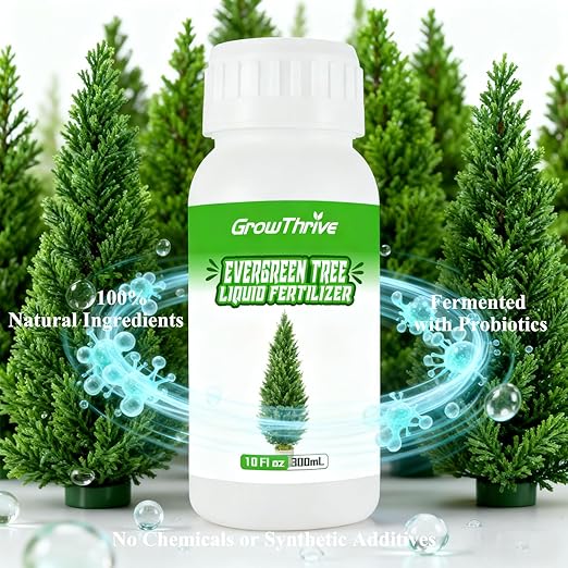 Evergreen Tree Liquid Fertilizer – Natural Probiotic Plant Food for Healthy Evergreen Growth – 10 oz Concentrate – Promotes Greener Leaves, Strong Roots & Soil Health