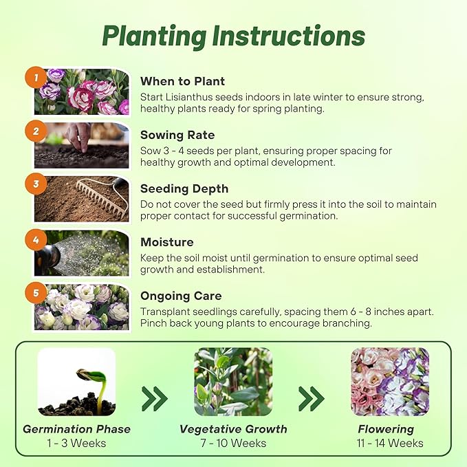 Outsidepride Lisianthus Sapphire Mix Flower Seeds - 100 Pcs. Annual, Versatile & Low Maintenance, Flower Seeds for Planting Prolific & Vibrant Mixed Blooms, Great for Cut Flower Arrangements