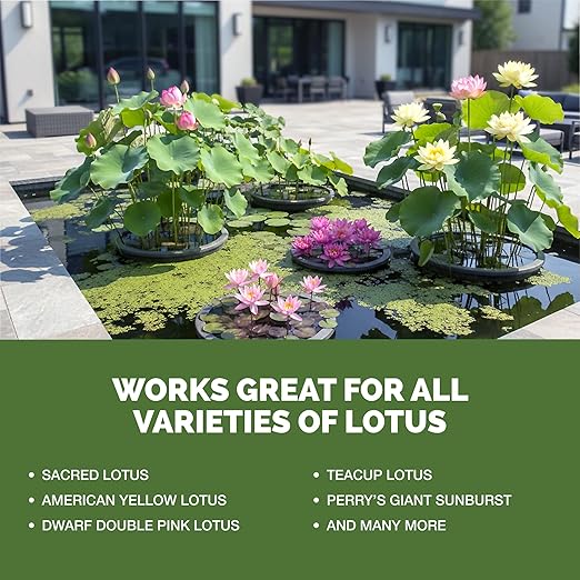 Lotus Fertilizer – Liquid Plant Food for More Blooms, Stronger Roots & Healthy Aquatic Growth, 32 oz