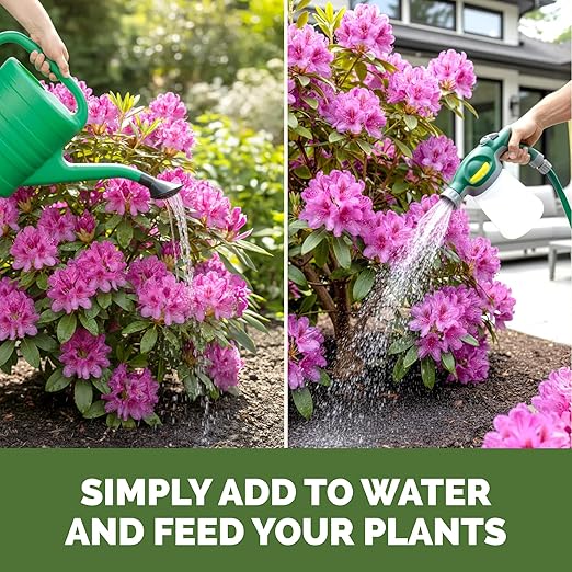 Azalea Fertilizer – Liquid Plant Food for Vibrant Blooms, Rich Green Leaves & Stronger Roots, 8 oz
