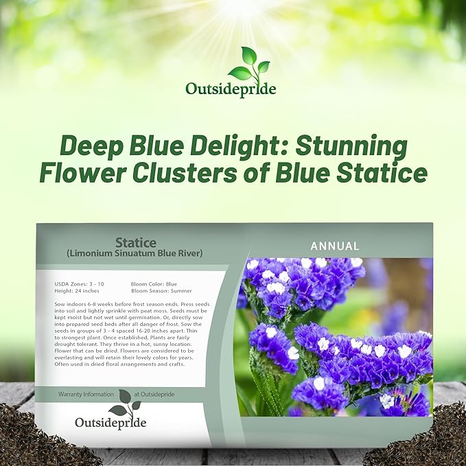 Outsidepride Blue Statice Flower Seeds - 1000 Pcs Annual Easy to Grow Drought Tolerant Flower Seeds for Floral Arrangements, Borders, & Pollinator Garden