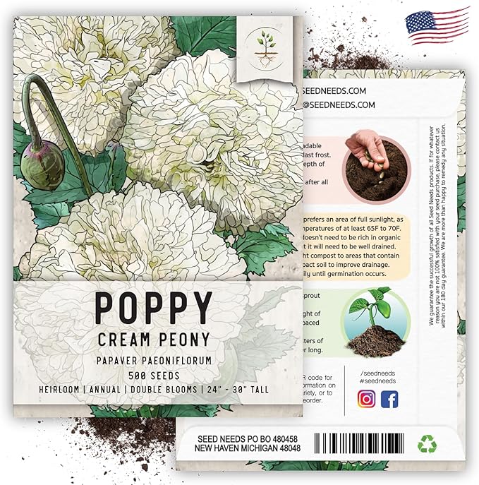 Seed Needs Cream Peony Poppy Seeds for Planting Poppies - Heirloom & Open Pollinated Soft White Flowers to Attract Butterflies & Pollinators to a Butterfly Garden (2 Packs)