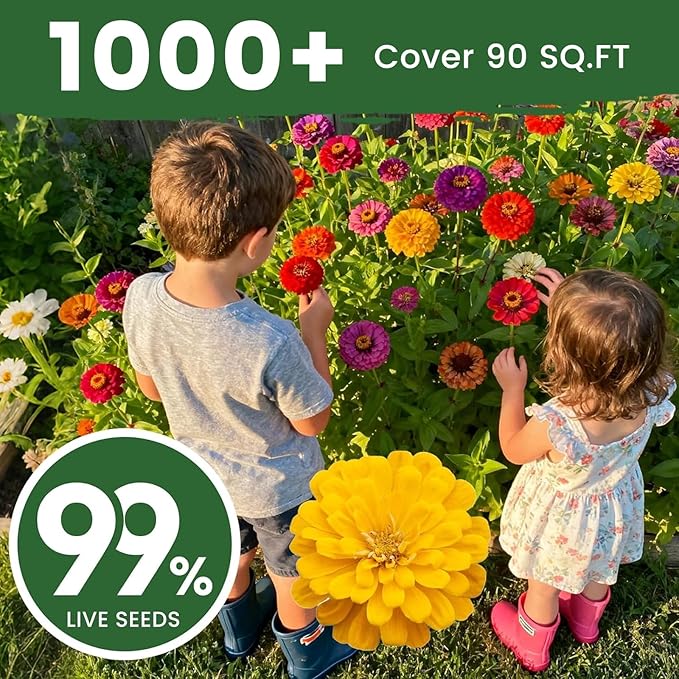 PLANTMEW 1000+ Zinnia Seeds Flower Seeds for 2026 Planting, 0.35 Oz, 5 Varieties (Pink, Yellow, Orange, White, Purple), 10G Mixed Colors and Large Blooms, Open Pollinated - Bulk (0.35 Ounce Pouch)
