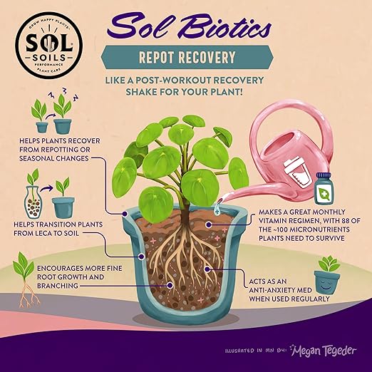 Sol Soils Sol Biotics Repot Recovery - Plant Root Stimulator, Treatment from Stress of Transplant Shock & Growth Support Supplement for Roots - 4oz