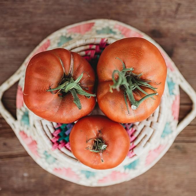 Brandywine Red Slicing Tomato - 50 Seeds - Popular Amish Heirloom Tomato, Amazing Sweet Flavor, Great for Slicing, Non-GMO Heirloom Tomato Seeds for Planting in The Home Garden, Thresh Seed Company