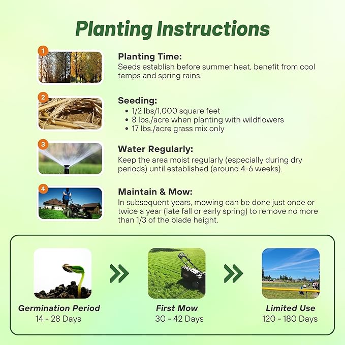 Outsidepride Perennial Northeast Native Grass Seed Mix - 1 lb. Cold & Drought-Tolerant Warm & Cool Season Prairie Grass Seeds for Xeriscaping, Erosion Control, Wildlife Support, & Pollinator Habitats