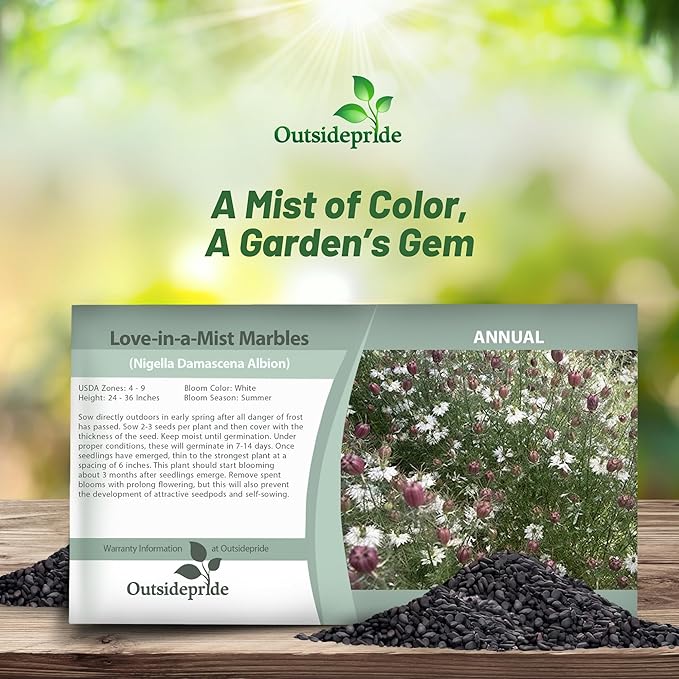 Outsidepride Jewels Marbles Nigella Seeds - 1000 Pcs Annual Flower Seeds for Planting with Vibrant Blooms & Lacy, Fern-Like Foliage, Attractive Cut Flower for Small Garden Spaces & Floral Arrangements