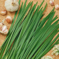 Organic Chives, Garlic Herb Seed - 1/4 LB Bulk ~28,000 Seeds - Non-GMO, Open Pollinated, Heirloom, Vegetable Gardening, Herb & Microgreens Seeds