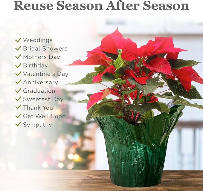 6” AZA Plant Pot Covers, Decorative Plant Sleeve for Indoor & Outdoor House Plants, Reusable and Gift-Ready Foil Wrap for Flower Pots, Evergreen, Pack of 5