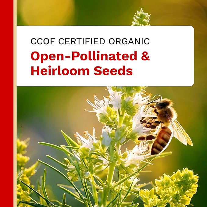 The Harvest Company Organic Culinary Garden Seed Collection, Non-GMO, Certified USDA Organic, Open-Pollinated Garden Herb Seeds for Indoor Outdoor Planting, 145 Seeds Total