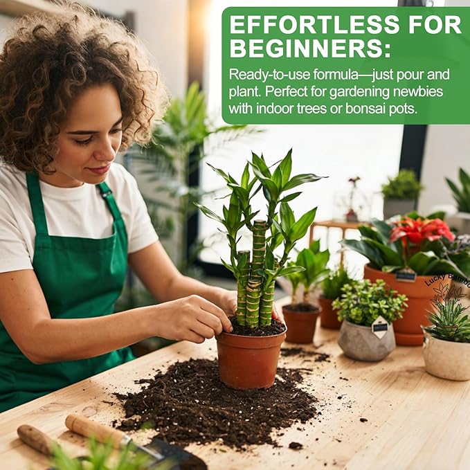 Pure Natural Potting Soil for Lucky Bamboo Plants 10qt- Superior Drainage & Breathability, Ideal Indoor Plant Soil