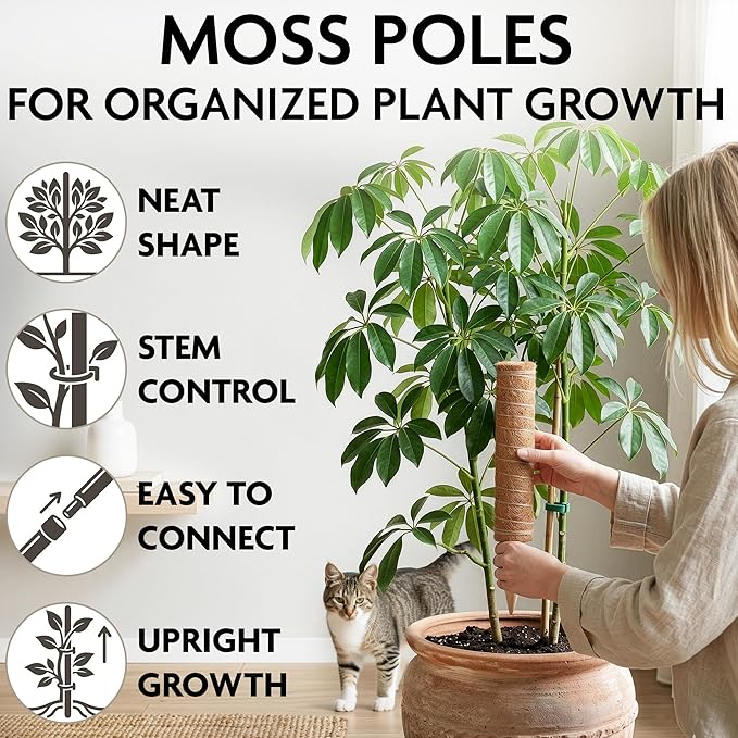 Moss Pole 26.4" Small Monstera Plant Support 2 Pcs Set - Pothos Plant Climber Support with Connectable Design and Fixation Strip - Coconut Fiber Moss Poles for Monstera, Money Plants, Philodendron