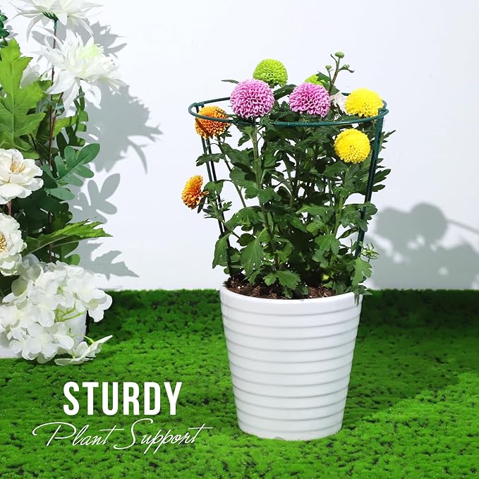 LEOBRO Plant Support, 8PCS Peony Cages and Supports, Plant Stakes for Indoor Plants, Outdoor Plants, Metal Garden Stakes, Plant Holders, Tomato Monstera Hydrangea Support Cage, 10" W x 15.8" H