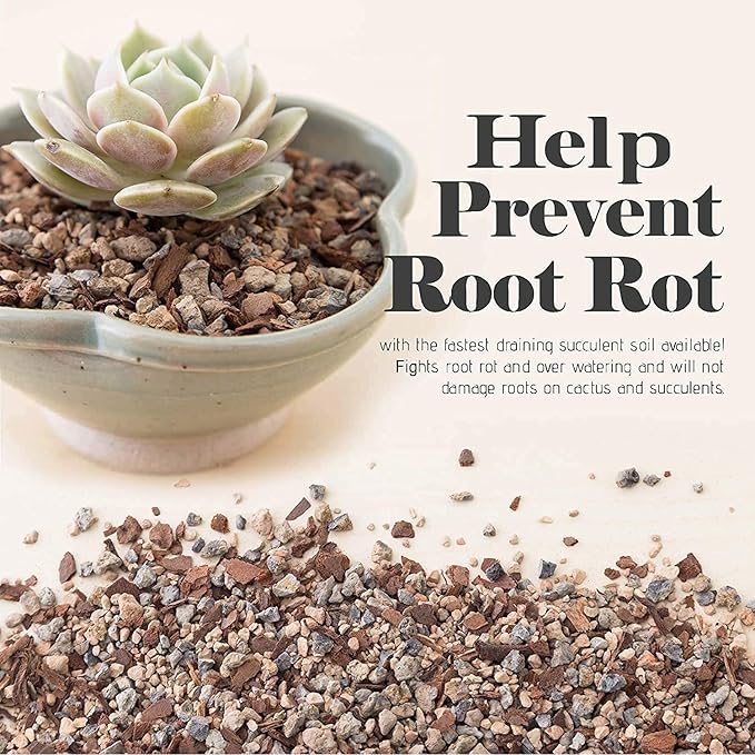 Bonsai Jack Succulent, Cactus and Bonsai Soil - Jacks Gritty Mix - 2 Gallons – Fast Draining – Fight Root Rot – Optimized pH