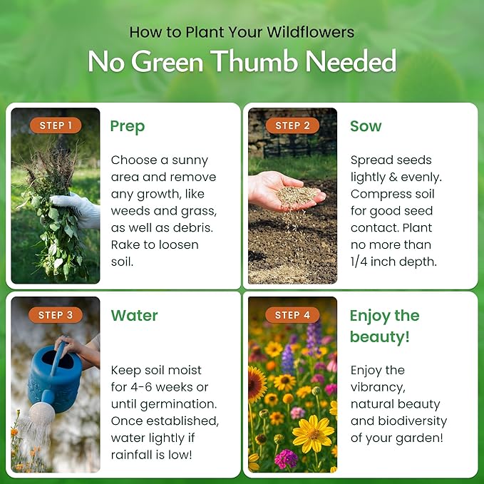 Created By Nature Minnesota Wildflower Seed Mix, 16 Flower Varieties, 40,000+ Seeds