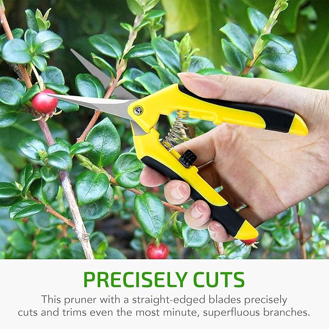 iPower 6.5 Inch Gardening Scissors Hand Pruner Pruning Shear for Gardening and Trimming, Heavy-Duty, Ultra Sharp Stainless Steel, Yellow, 2-Pack