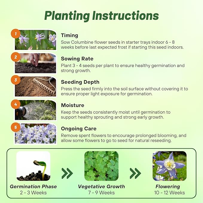 Outsidepride Blue Star Columbine Seeds - 1000 Pcs Perennial, Easy to Grow Flower Seeds for Planting, Suitable for Pollinator-Friendly Garden, Cut Floral Arrangements, Ground Covers, or Borders