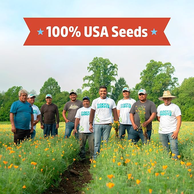 Back to The Roots 100% Organic Heirloom Seeds - Brandywine Tomato Value Pack (200mg Total)