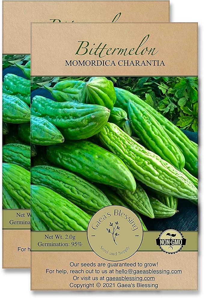 Gaea's Blessing Seeds - Bitter Melon Seeds - Bitter Gourd Heirloom Non-GMO Bittermelon Seeds with Easy to Follow Planting Instructions - 92% Germination Rate (Pack of 2)