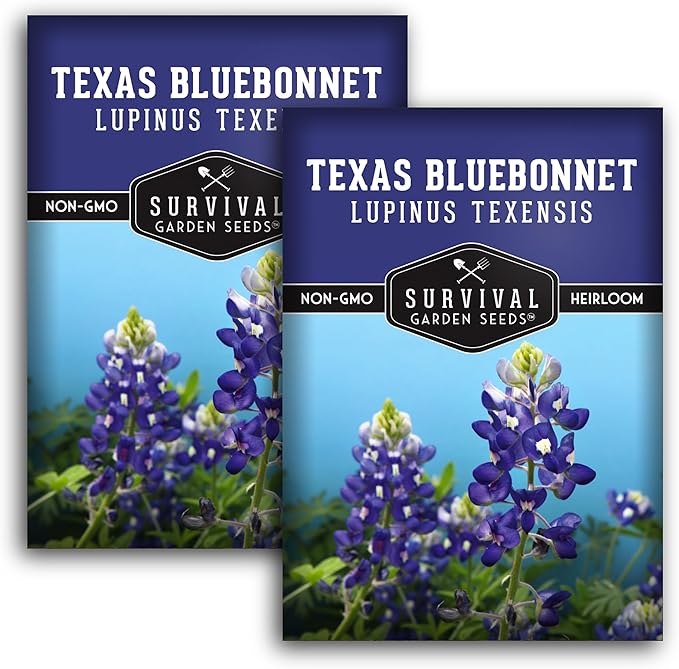 Texas Bluebonnet Seeds for Planting - 2 Packets with Instructions to Plant & Grow Lupinus Texenisis in Your Home Wildflower Garden - Non-GMO Heirloom Variety- Survival Garden Seeds - Drought Resistant