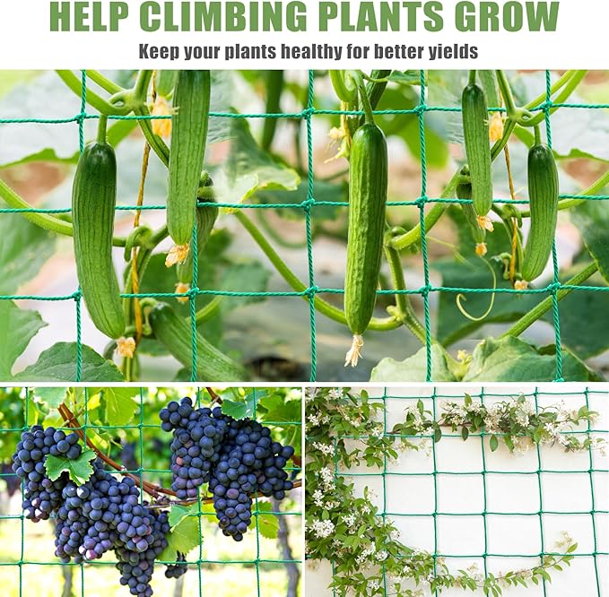 Trellis Netting, Heavy Duty Garden Netting for Trellis for Climbing Plants Outdoor, 16.5x6.6Ft Plant Netting for Cucumber, Tomato, 27 Strands & 4x4 IN Mesh, Grow Net for Vine, Fruits, Vegetables, Bean