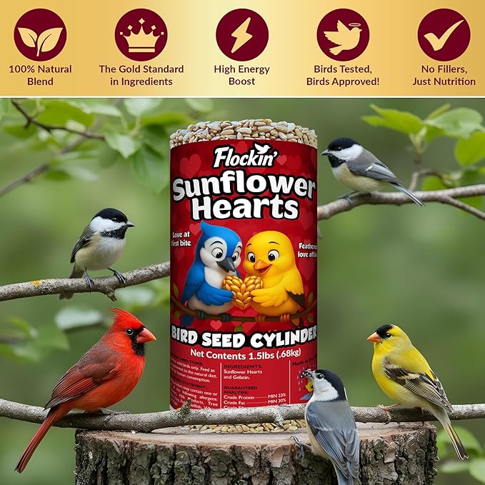 100% Sunflower Hearts for Birds – Premium Bird Seed Cylinders with Hole – Hulled Sunflowers Bird Seed – Sunflower Chips for Birds - Attracts Various Songbirds – No Mess Birdseed, USA Made (4" x 7.75")