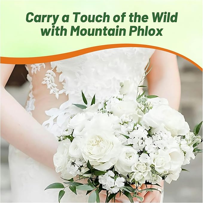 Outsidepride Mountain Phlox Seeds - 5000 Pcs. Annual, Compact & Self-Seeding Flower Seeds for Planting Vibrant White-Lavender Blooms in Pollinator Gardens, Borders, Containers & Floral Arrangements