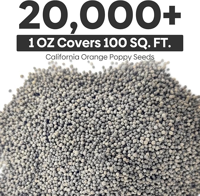 Groundio California Poppy Seeds, 1 Ounce Over 20000+ Seeds, Non-GMO | Heirloom | Sourced from USA- Eschscholzia Californica, USDA Zone 5-10