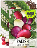Seed Needs Radish Seeds for Planting Easter Egg Radishes - Non-GMO Heirloom & Untreated - Grow a Home Grown Vegetable Garden - Cool Weather Crops (5 Packs)