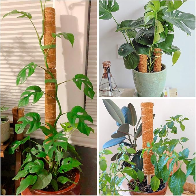 2 Pcs 12 Inches Coir Moss Poles for Climbing Plants with 4 Pcs Adjustable Plant Twist Ties - Coir Moss Totem Stick for Creepers Plant Support Extension, Climbing Indoor Plants(Total 20 Inch)