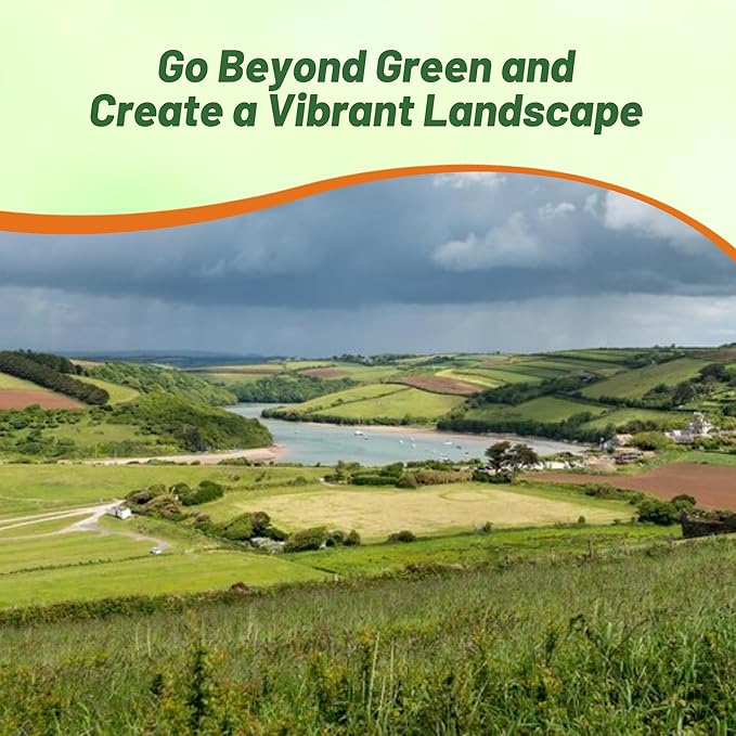 Outsidepride Perennial Northeast Native Grass Seed Mix - 1 lb. Cold & Drought-Tolerant Warm & Cool Season Prairie Grass Seeds for Xeriscaping, Erosion Control, Wildlife Support, & Pollinator Habitats