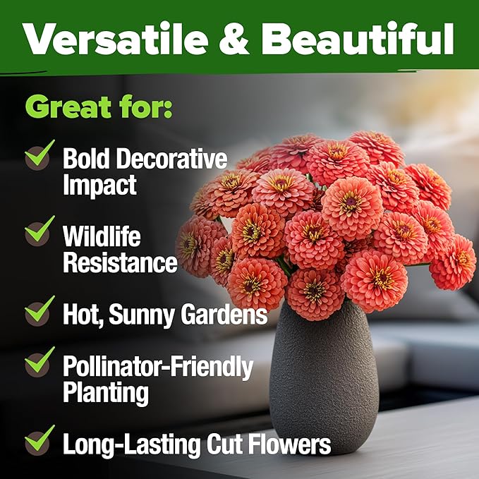 HOME GROWN Coral Zinnia Seeds (1g) – 600 Zinnia elegans Annual Flower Seeds for Planting Outdoors – Heat Tolerant Easy Summer Flowers to Plant – Herb Seed Companion for Pollinator Garden Beds for 2026