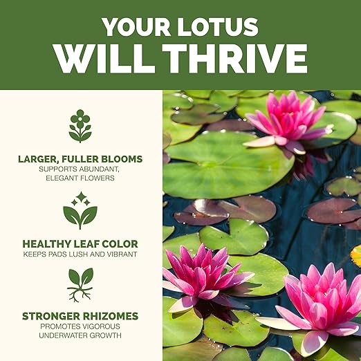 Lotus Fertilizer – Liquid Plant Food for More Blooms, Stronger Roots & Healthy Aquatic Growth, 32 oz