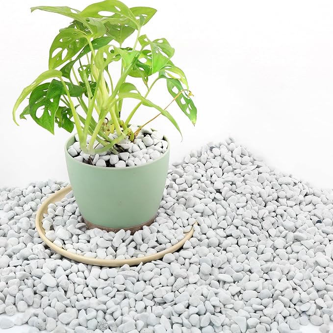 3 Quarts Chunky Perlite for Plant Soil Amendment for Potting Soil, Improves Drainage and Aeration for Soil, Ideal for Succulents, Orchid, Flower Plants (1/4 inch)