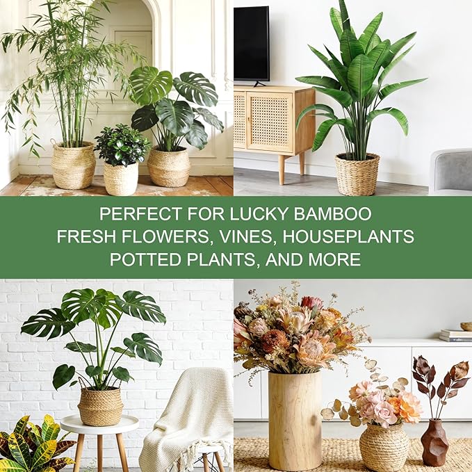 32 Pack Upgraded Plant Stem Support, Monstera Plant Support, Nearly Invisible Support for Indoor Plants, Reusable Stem Holders, 4 Sizes Plants Accessories, Plant Stabilizer Indoor